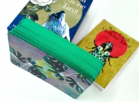 Wise Earth Medicine Tarot