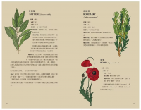 新手魔法手冊：藥草、水晶、儀式、占卜、塔羅⋯⋯你的第一本靈性指引 (MÁgicas: Guía Ilustrada De Magia)