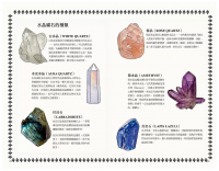 新手魔法手冊：藥草、水晶、儀式、占卜、塔羅⋯⋯你的第一本靈性指引 (MÁgicas: Guía Ilustrada De Magia)