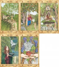 凱爾特聖樹神諭卡【精裝書盒版】：連結大地之靈，歐甘樹文的魔法力量（25張牌卡＋解說手冊＋絨布束口袋）(Voice Of The Trees: A Celtic Divination Oracle)