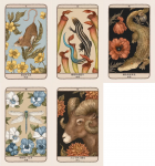 森林守護者神諭卡：52張結合動物與植物的牌卡，為你清楚指引人生方向 (Woodland Wardens: A 52-Card Oracle Deck & Guidebook)