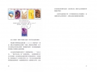 預兆神諭卡：精準解讀愛情、工作、家庭、金錢、身心問題，通往平靜與幸福人生 (L’oracle Des Signes)