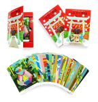 八百万の神様カード