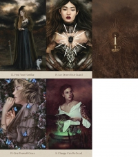 Light In The Darkness Oracle