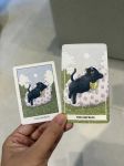 Coco Tarot Pocket Edition (Black Cat Tarot)